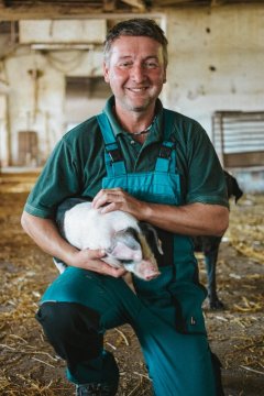 Proč přeštické prase?