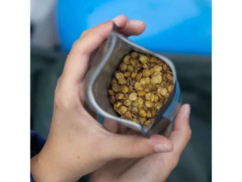 Křupavá Čočka BIO - Mořská sůl